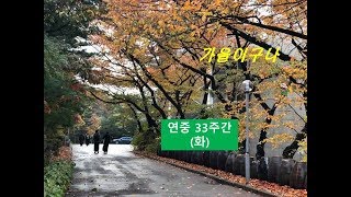 ✠ 현정수신부의 사제일기] 20191119(화) 가을이구나 (아침기도)