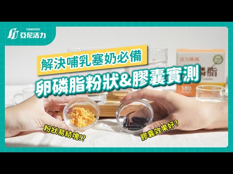 【卵磷脂粉&膠囊比較】卵磷脂乳化作用實測，懷孕及哺乳媽媽必吃！