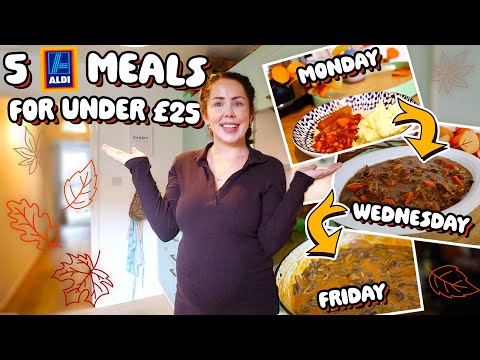 5 AUTUMN FAMILY MEALS FROM ALDI FOR UNDER £25 | Week Of Budget Meals From Aldi (Fall/Autumn 2024)