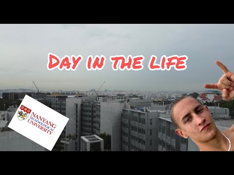 Exchange at NTU | Nanyang Technological University | Day in the life