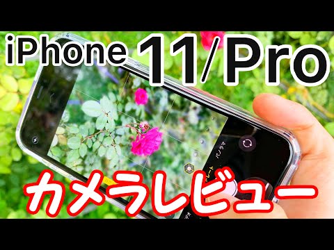 【超広角カメラ/ナイトモード】iPhone 11/11 Proのカメラ性能をXSと比較しながらレビュー！≪4K60fps≫