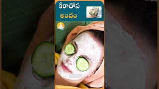 కీరాదోసలో అద్భుత ఆరోగ్య ప్రయోజనాలు | #drcalmssanjeevani #cucumber #ytshorts #vegetables #beautytips