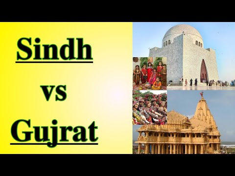 Gujrat vs Sindh comparison unbaised hindi countdown #shorts