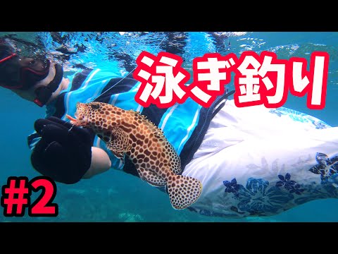 見釣り(泳ぎ釣り)で魚を釣る楽しみ方【小笠原諸島 母島】vol.2