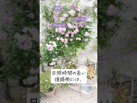 🕊Garden Tour🕊99：女の子のお部屋をイメージした鉢やガーデン雑貨のディスプレイスペースに、庭全体の配色バランスにこだわった花壇など。どこを切り取っても素敵な空間になるように植栽されたお庭