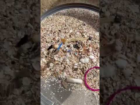 La microplastica in spiaggia. Lo sapevi?