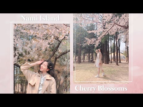 Cherry Blossom Festival At Nami Island! | Korea Vlog #11