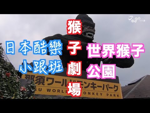 【日本酷樂小跟班】那須世界猴子公園-猴子劇場：想拿什麼？叫猴子幫你！！