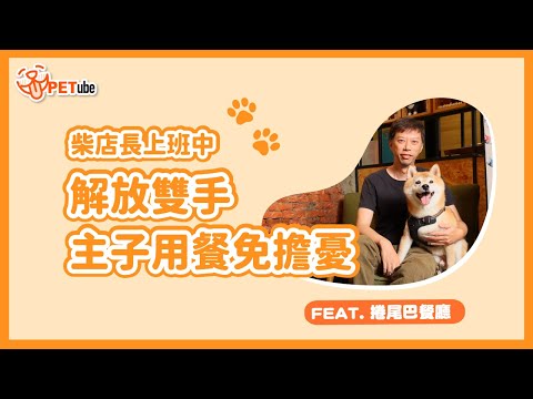 柴店長上班中🐶解放雙手~主子用餐免擔憂🍴feat.捲尾巴餐廳【編走編看】｜#哈寵PETube 第295集