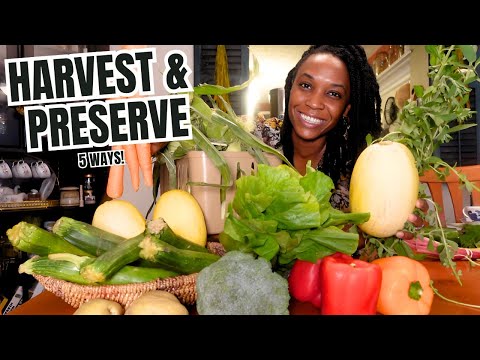 The 6 FAST & SIMPLE Harvesting and Preserving Methods to keep your food FRESH! | Summer Garden Tour