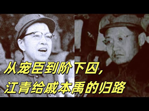 文化大革命99，戚本禹倒台之谜，他勾引江青的女儿了吗？还是整了江青的黑材料？北图的旧报纸和陈冠希的照片有什么相同之处？人妻控曹操失算，张春桥教育戚本禹#文化大革命#文革#中共#江青#毛泽东#周恩来