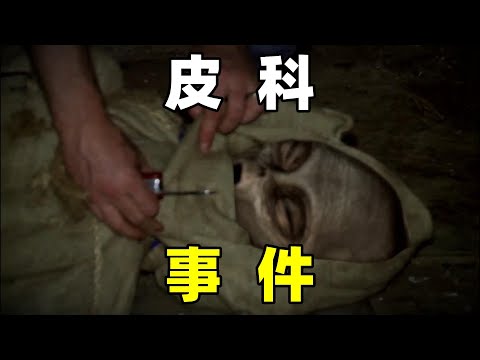 皮科事件，不明飞行物坠毁，平民遭遇外星人