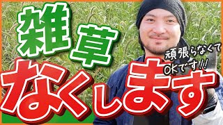 【雑草は抜くな!!】農家直伝!! 家庭菜園でも実践できる雑草対策とは!?