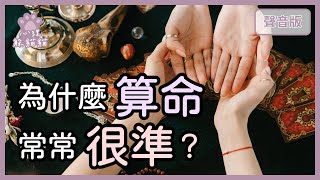 你就是這樣，你不會改～決定命運的「投射性認同」｜【心理躲貓貓#8】