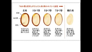 ビデオ　七分づき米のすすめ