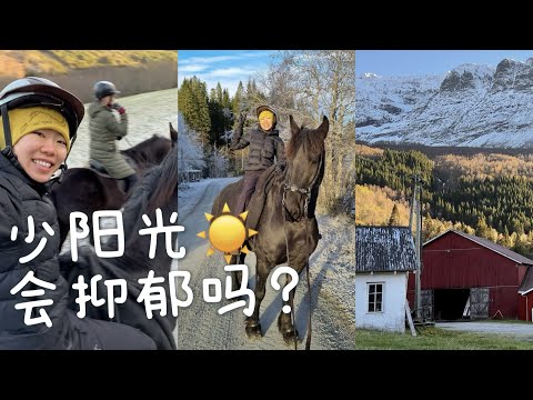 终于骑上我照料的马｜如何应对北欧冷且少阳光｜聊欲望知足与特权