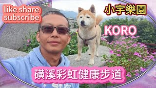 磺溪彩虹健康步道/Sulfur Creek Rainbow Health Trail/サルファークリークレインボー健康歩道/柴犬/KORO/散步/walk/ぶらぶら