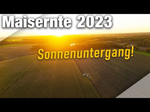 Maisernte 2023 🌽| Maishäckseln im Sonnenuntergang mit Claas Jaguar 950, Fendt 700/800/900 Vario |