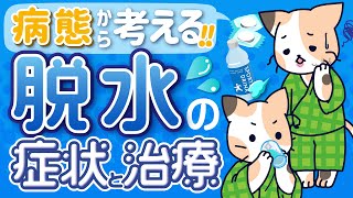 脱水の症状と治療　病態から考える！　～ツルゴール，血圧，尿量，口渇，悪心・嘔吐など～