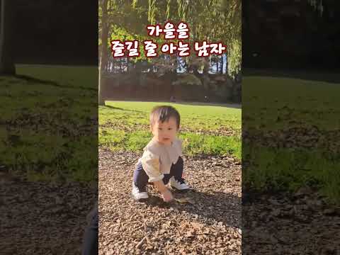 걸을 수 있으니 가을이 !? #아기 일상 #아기 #shorts #가을 #남자 #캐나다단풍 #baby #14개월아기