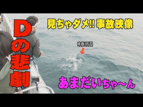 事故映像　Dの悲劇×あまだいちゃ～ん