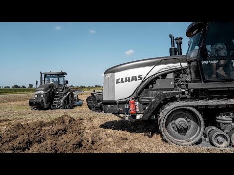 Black Duo ⚫️ Challenger MT765A + Claas Challenger 75E | Corte Brola