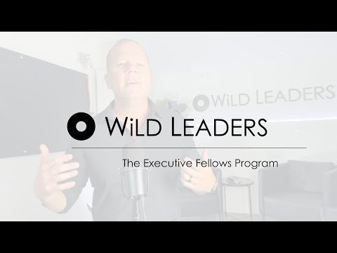 WiLD Executive Fellows Program