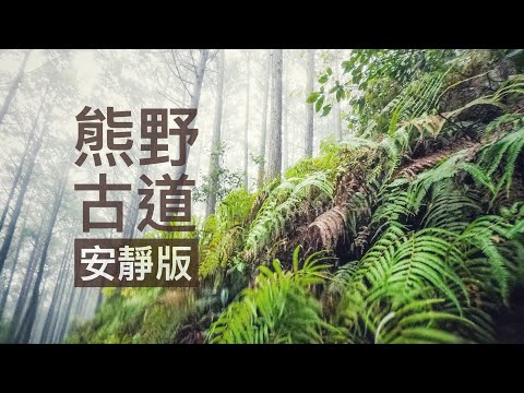 GoSunbody｜熊野古道的初心者路線（夜深人靜版）