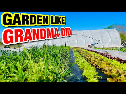 HOW TO GROW A GARDEN LIKE YOUR GRANDMA DID