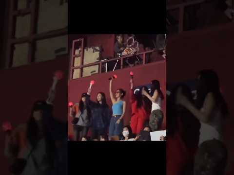 NEWJEANS at 2ne1 concert  #minji #hanni #danielle #haerin #hyein #newjeans #kpop #shorts