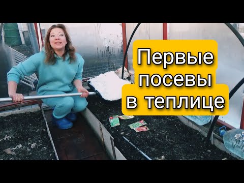 ПЕРВЫЕ ПОСЕВЫ В ТЕПЛИЦЕ | НЕ НУЖНО ЖДАТЬ СЕЙТЕ СЕЙЧАС | Светлана Самойлова