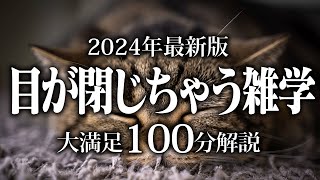 【睡眠導入】目が閉じちゃう雑学【リラックス】安心してお休みになってください♪