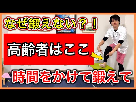 【70歳以上は必須】健康寿命を上げるのに間違いなく重要な筋肉なのに運動量が圧倒的に足りてない前脛骨筋の筋トレ