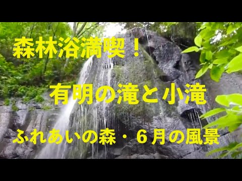 有明の滝＆小滝とふれあいの森・６月（鹿と熊に脅かされ）