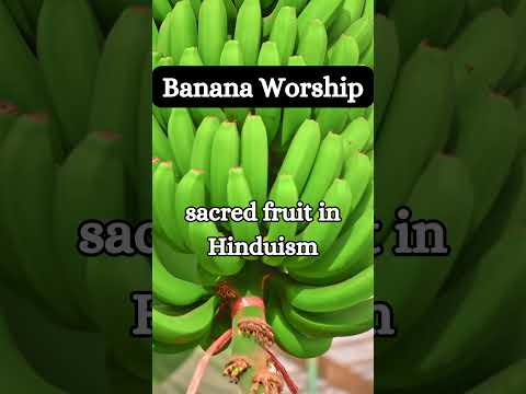 Are Bananas a Sacred Fruit?