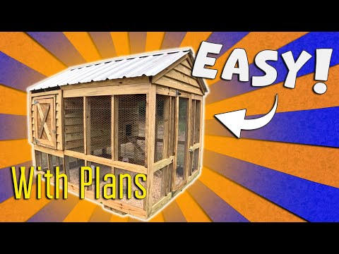 How to Build a DIY Chicken Coop | Step-by-Step Guide for Backyard Chickens