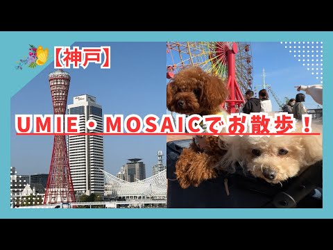 【神戸】ハーバーランドumie・mosaicでお散歩！