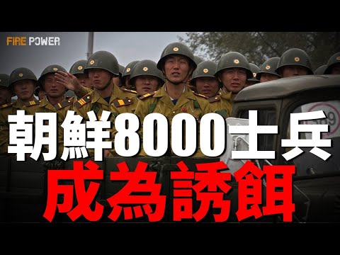 8000 North Korean soldiers become bait, Russian military faces medical crisis!