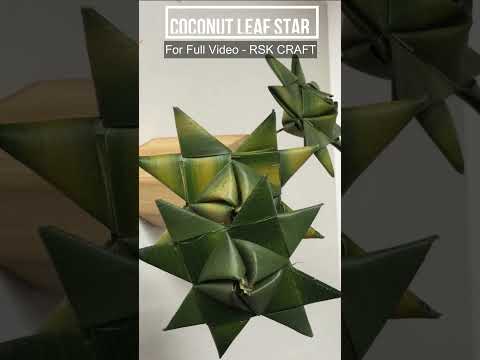 How To Make  Star With Coconut Leaf | Coconut Leaf Art |DIY | Coconut leaf Flower. #shorts