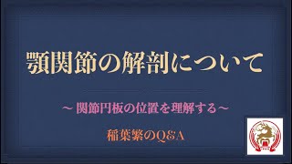 顎関節の解剖について〜関節円板の位置を理解する〜