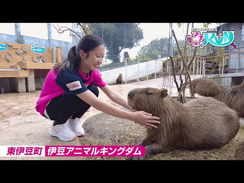 【東伊豆町】嶋田アナが走り抜く！#29【アナRUN＋】