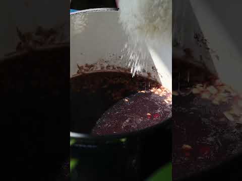 Elderberry Ginger Simple Syrup