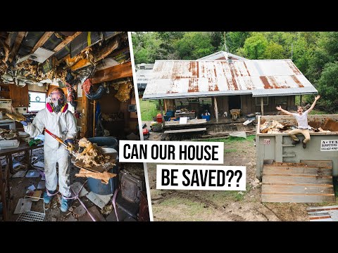 Cleanup Begins! 😱 Can We Gut & Renovate This ABANDONED HOARDER HOUSE??