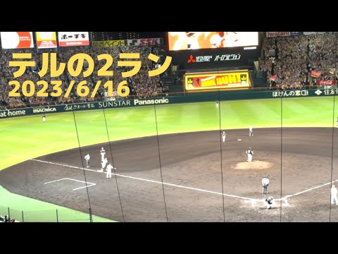 佐藤輝明第9号2ランホームラン 2023/6/16 阪神対ソフトバンク戦 #hanshin #tigers #阪神タイガース