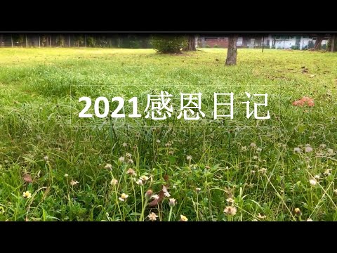 2021 感恩日记#正念生活#感恩#快乐#幸福#正念