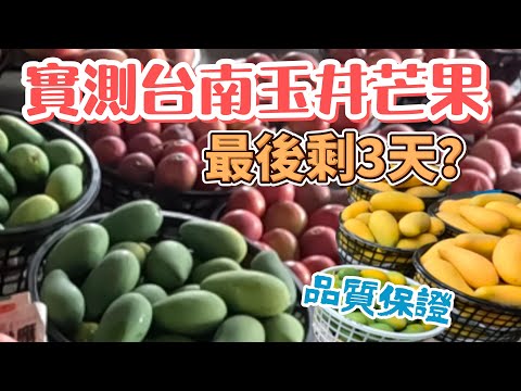 台南玉井芒果進入最後高峰｜#台南玉井｜山坡地的芒果真的甜?｜買芒果不去玉井還能去哪裡? #芒果 #愛文 #taiwanfruit  #mango