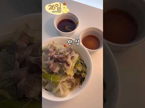 뱃살 쏙 빠지는 샤브샤브 꿀조합 #다이어트브이로그 #다이어트식단