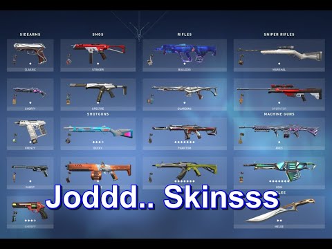 Skins Colletions Show off lol| Road to 1K sub |Raod to Silver | Indian GamerGirl