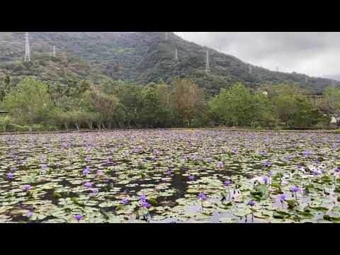 台灣美景，大自然的聲音！