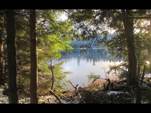 Snowy Serenity at Angel Lake   (Nov 28, 2024)